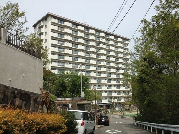 �t����p�[�N�}���V����