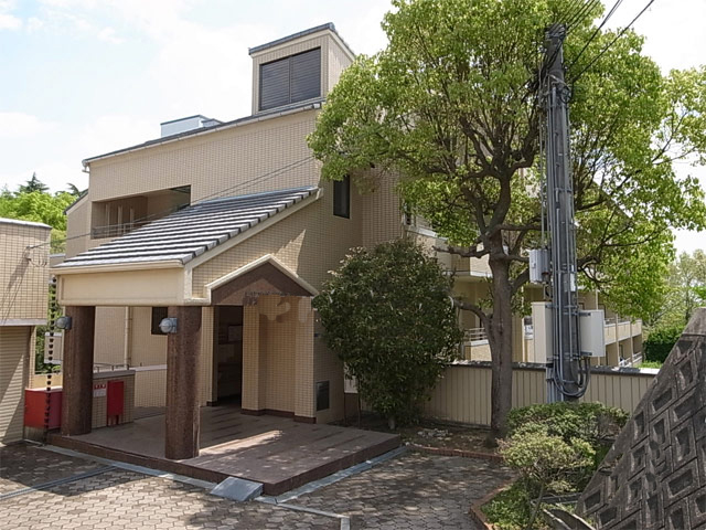 �����v���U�t�����