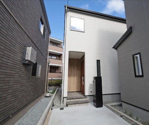 4号地