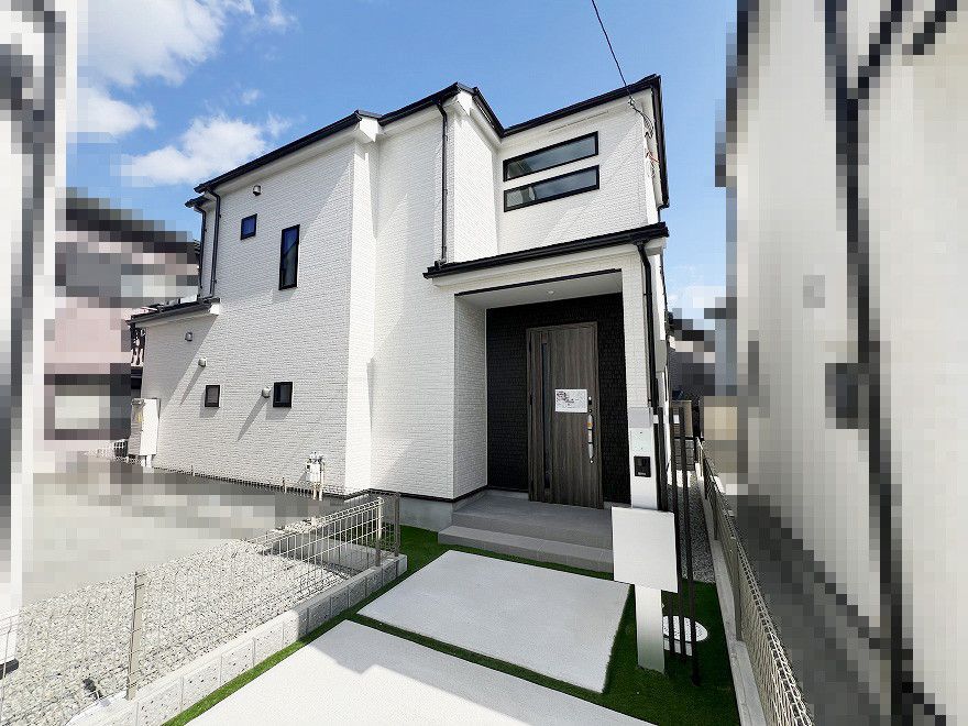3号地