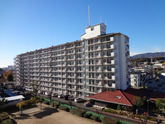 ��˃p�[�N�n�C�c