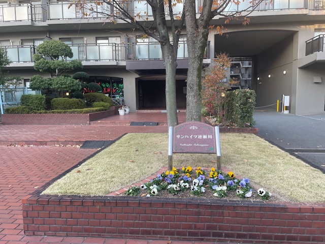 �T���n�C�c�t����