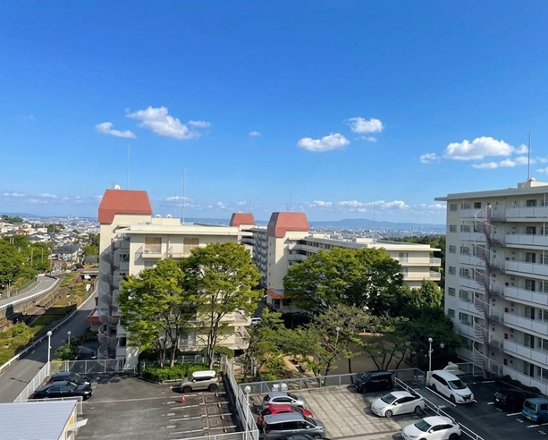 �t����O���[���n�C�c�c��